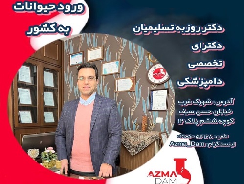 خدمات سفر حیوانات با دامپزشکی آزما دام | سفر با حیوان خانگی