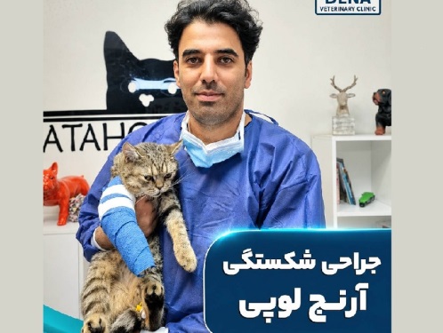 کلینیک دامپزشکی دنا در سعادت آباد