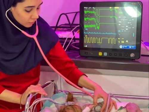 کلینیک دامپزشکی و پت شاپ مرکزی قم