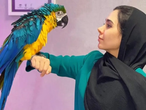 کلینیک دامپزشکی و پت شاپ مرکزی قم