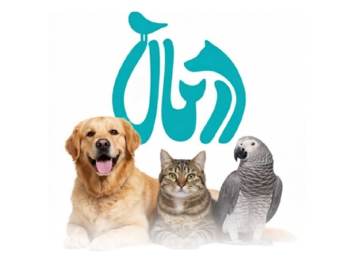 کلینیک دامپزشکی درمان در شهرک گلستان (منطقه 22)