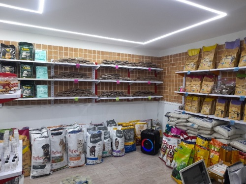 کلینیک دامپزشکی دکتر آرمین سروری در گوهردشت کرج