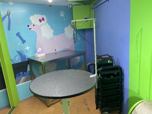 کلینیک دامپزشکی مهر بابلسر