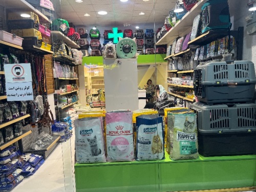 کلینیک دامپزشکی مهر بابلسر