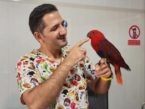 کلینیک تخصصی پرندگان دکتر موسوی نسب