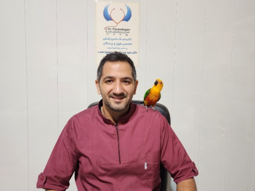 کلینیک تخصصی پرندگان دکتر موسوی نسب