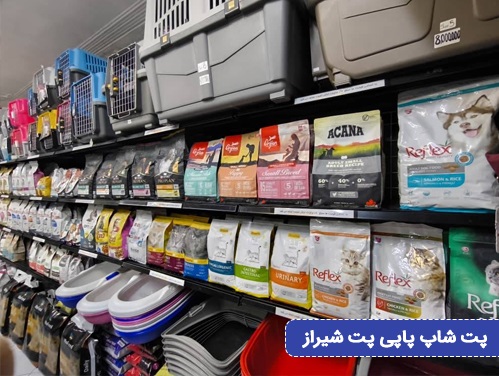 پت شاپ پاپی پت در شیراز 2