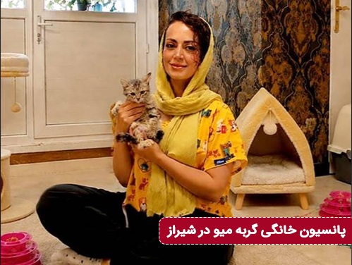 پانسیون گربه میو در شیراز 