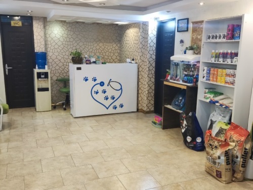کلینیک دامپزشکی دکتر حریری