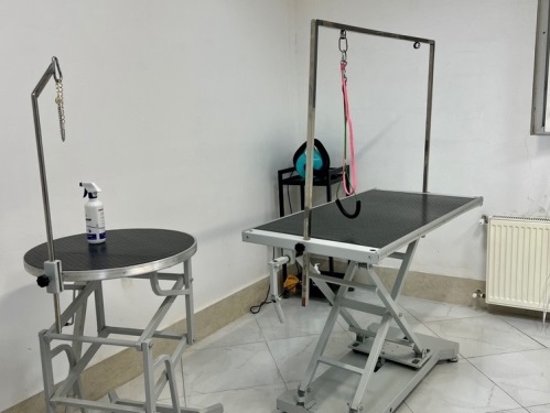 داروخانه دامپزشکی دکتر دیبایی در قم
