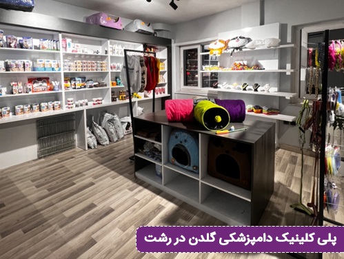 پلی کلینیک دامپزشکی گلدن در رشت