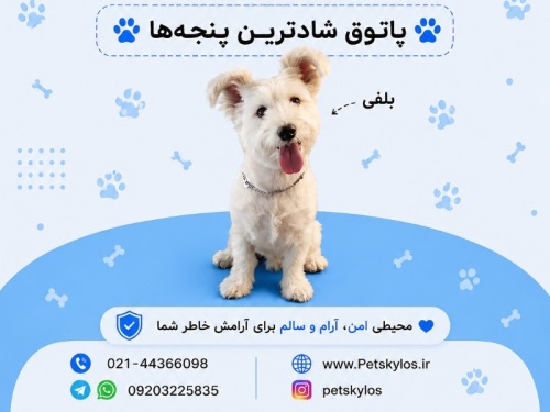پانسیون حیوانات پت اسکایلوس در شهرزیبا