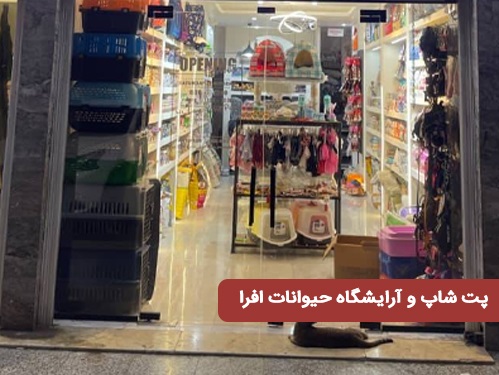 پت شاپ و آرایشگاه حیوانات افرا در بندرعباس استان هرمزگان