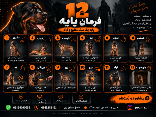 باشگاه تربیت سگ شفق دیوان پور - ویرایش