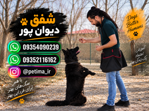 باشگاه تربیت سگ شفق دیوان پور - ویرایش