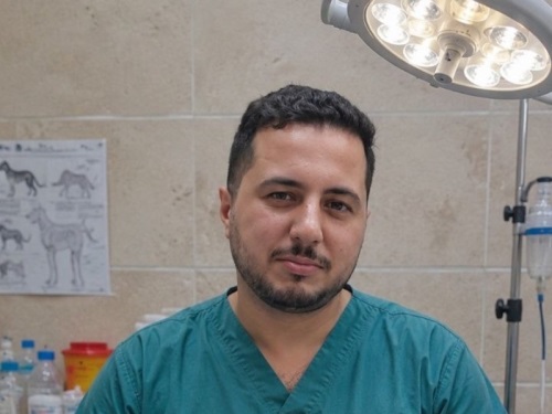 کلینیک تخصصی جراحی دامپزشکی دکتر اسماعیل پور