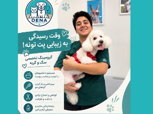 آرایشگاه تخصصی حیوانات دنا در سعادت آباد