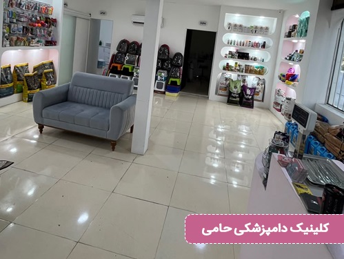 دامپزشکی و پت شاپ حامی در قزوین 