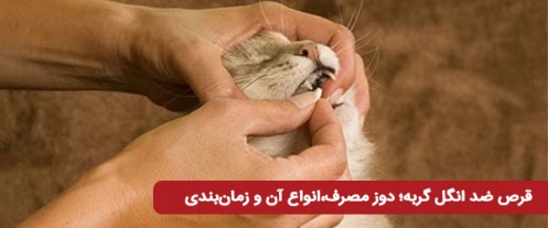 قرص ضد انگل گربه
