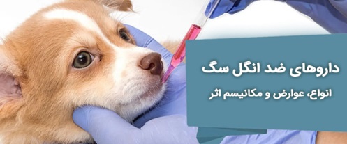 قرص ضد انگل سگ چیست 