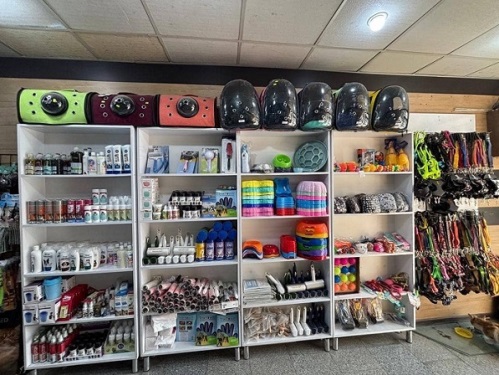 کلینیک دامپزشکی دامون در مهرشهر کرج