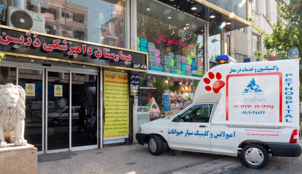 ویژگی های یک دامپزشکی خوب | پت لینک