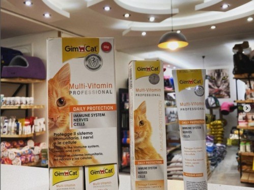 کلینیک دامپزشکی مارال در خانه اصفهان پت لینک