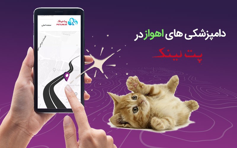 لیست برترین دامپزشکی های اهواز  | پت لینک 