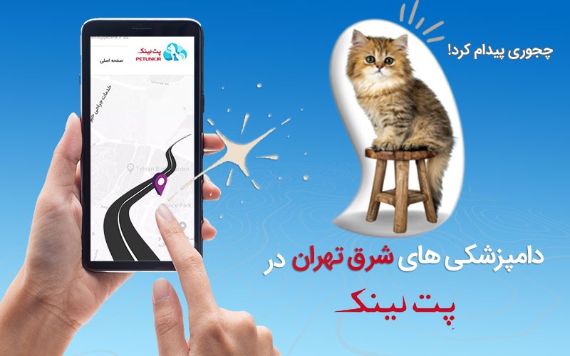 لیست کلینیکهای دامپزشکی در شرق تهران |petlink.ir 