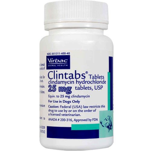 کلیندامایسین (Clindamycin) | آمپول و کپسول کلیندامایسین برای سگ