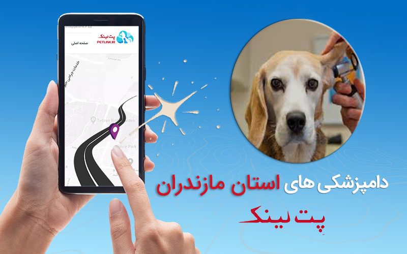 دامپزشکی در مازندران | دامپزشکی در استان مازندران | پت لینک 