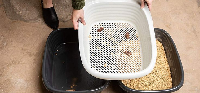 ظرف خاک گربه sifting (سیفتینگ) یا ظرف خاک الک‌دار