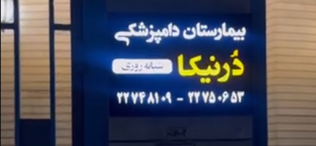 پت شاپ ۲۴ ساعته دامپزشکی درنیکا در نیاوران | پت شاپ های شبانه روزی شمال تهران
