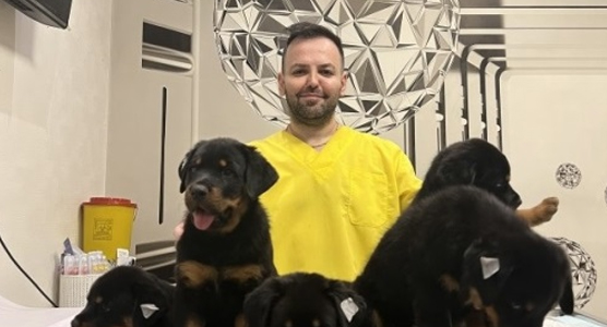 کلینیک دامپزشکی دکتر پویا در گوهردشت کرج | دامپزشکی کرج