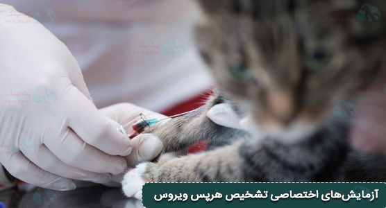 آزمایشهای اختصاصی تشخیص هرپس ویروس ، PCR Test ، Virus Isolation ، fa test