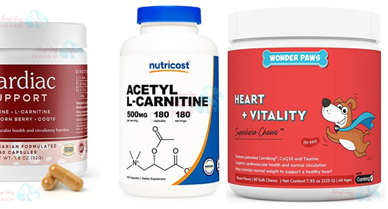 نیاز به ال کارنتین در سگ ها و گربه ها برای جلوگیری از بیماری های قلبی حیوانات