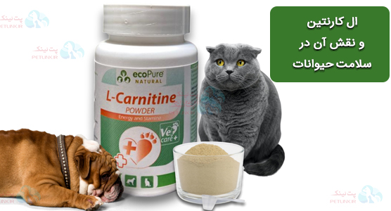 ال کارنیتین (L-carnitine) و منابع مناسب برای حیوانات خانگی