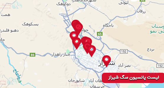 معرفی 5 پانسیون سگ برتر در شیراز (آپدیت آذر1404) 