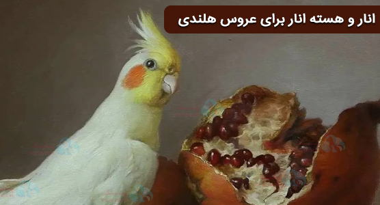 هسته انار برای عروس هلندی | پوست و میوه انار برای عروس هلندی