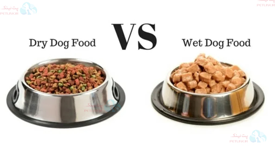 تفاوت غذای خشک و غذای مرطوب سگ | غذای خشک یا غذای کنسروی سگ