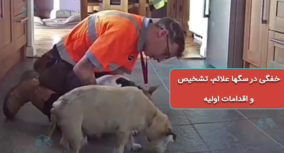 خفگی در سگها علائم، تشخیص و اقدامات اولیه 