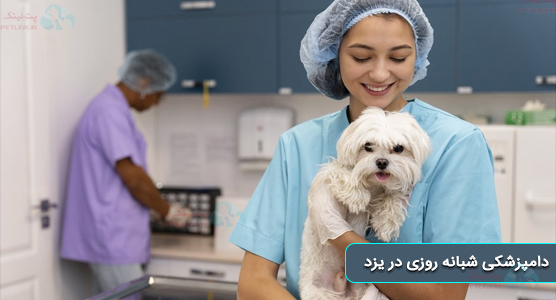 کلینیک دامپزشکی شبانه روزی یزد | لیست دامپزشکی های یزد