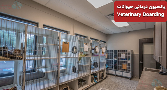 پانسیون درمانی حیوانات Veterinary Boarding