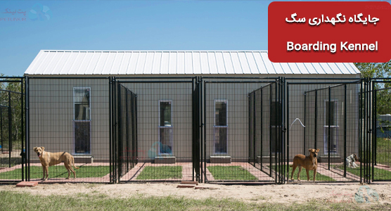 Boarding Kennel (لانه/جایگاه نگهداری سگ) | پانسیون حیوانات چیست