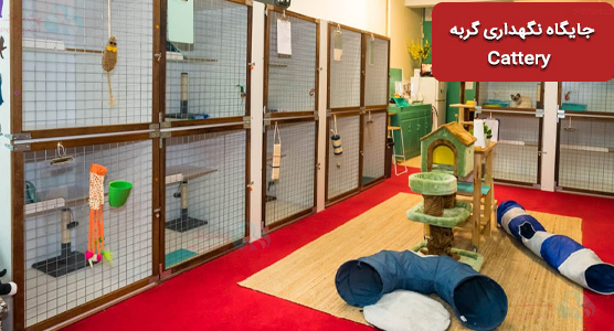 پانسیون حیوان کجاست؟ | Cattery (جایگاه نگهداری گربه)
