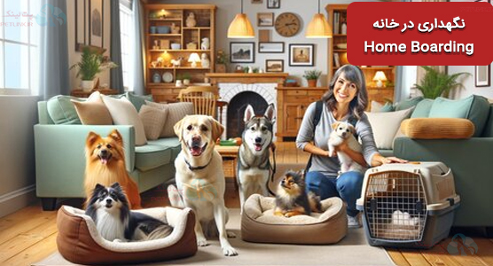 پانسیون خانگی حیوانات و نگهداری در خانه Home Boarding