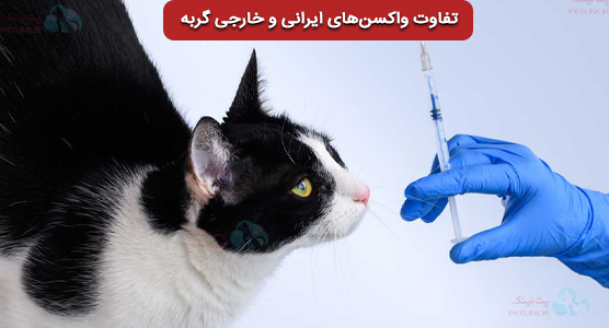 تفاوت واکسن‌های ایرانی و خارجی گربه از نظر کیفیت و قیمت