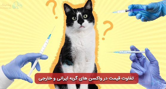تفاوت قیمت در واکسن های گربه ایرانی و خارجی