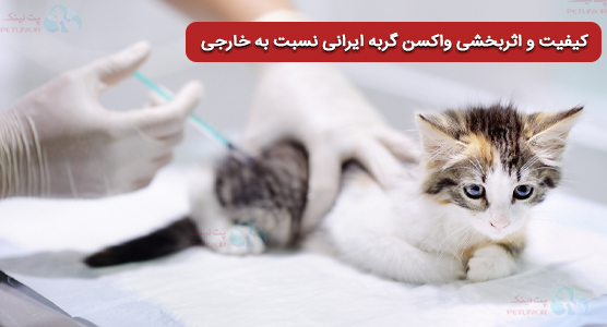 کیفیت و اثربخشی واکسن گربه ایرانی نسبت به خارجی