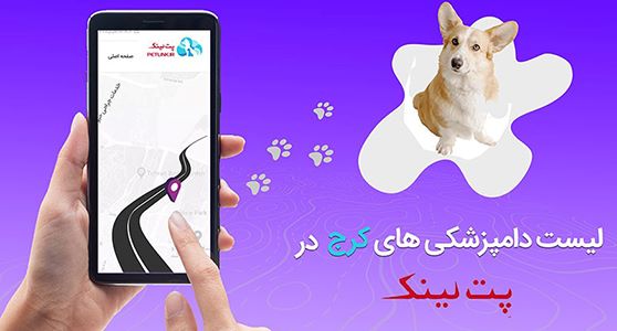 لیست دامپزشکی های کرج | دامپزشکی در کرج پت لینک 